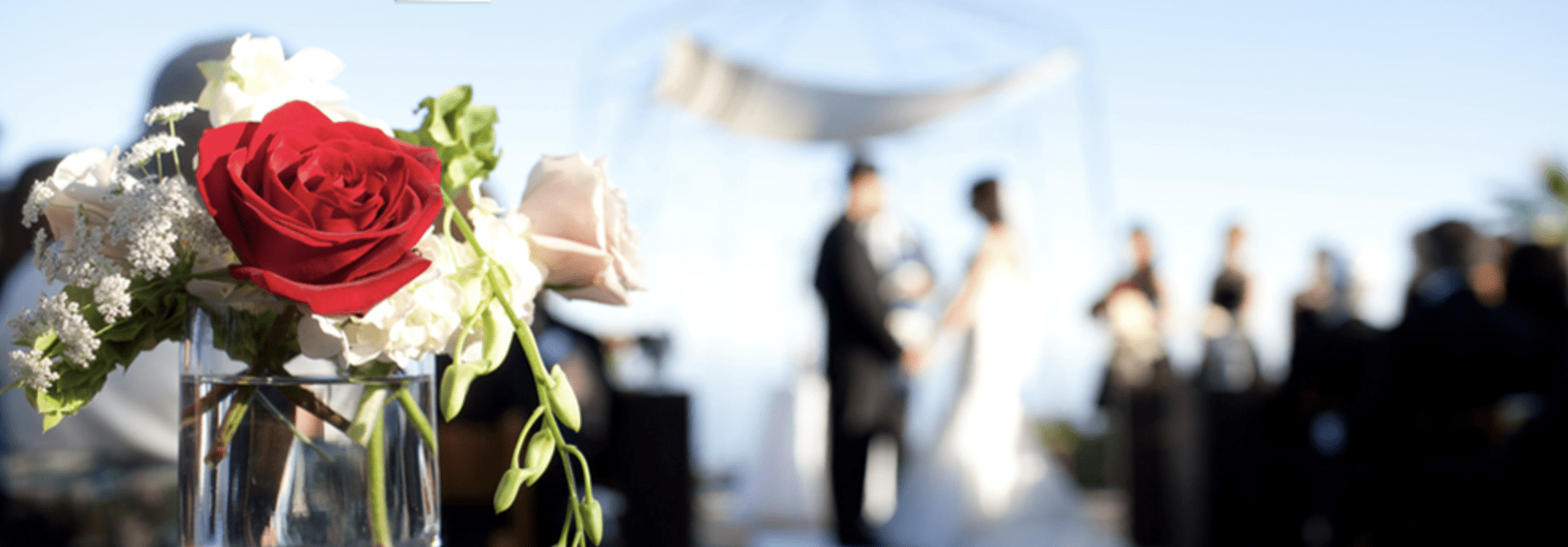 L.A, Ventura Videographer and Wedding Videography service